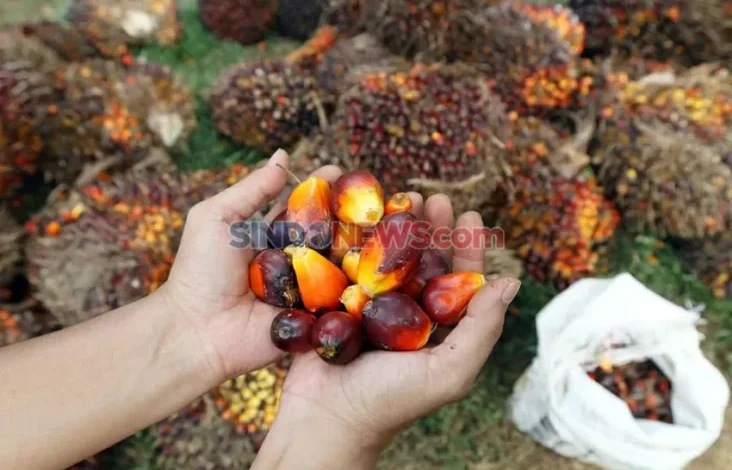 16 Invensi Hasil Investigasi GRS 2021-2023, Lebih dari Separo Siap Hilirisasi!