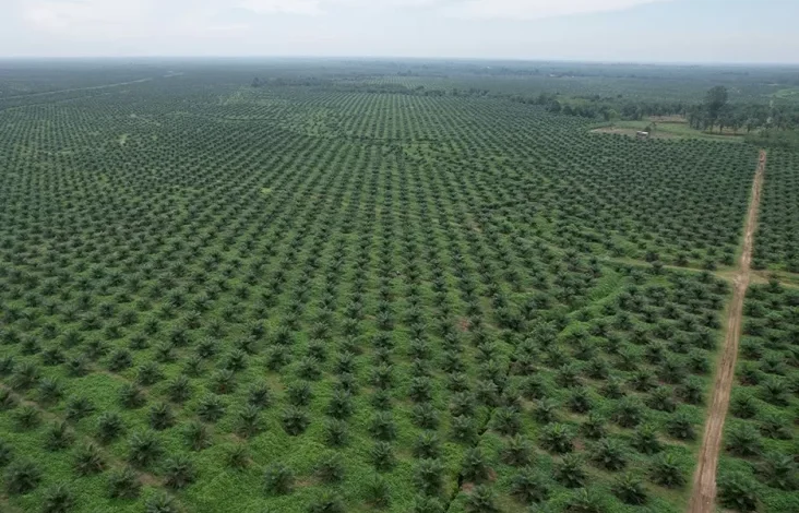 Bukti Transformasi, PTPN Group Cetak Laba Rp14,9 Billion