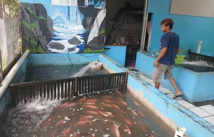 Dari Danau ke Pasar: Jumsari Pedagang Ikan Depok Berdaya Bersama BRI