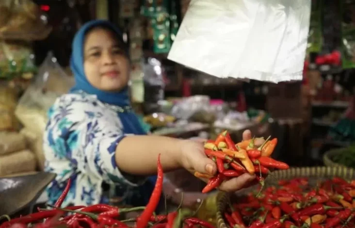 Mentan Amran Sebut Harga Cabai Berangsur Turun