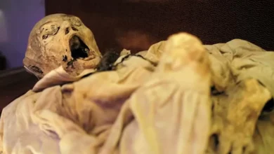 Patogen Misterius yang mana yang dimaksud Dikaitkan dengan Kutukan Mumi Terkuak