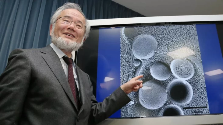 Profil Yoshinori Ohsumi, Peneliti Jepun yang tersebut digunakan Mendapat Nobel pasca Meneliti Manfaat Puasa