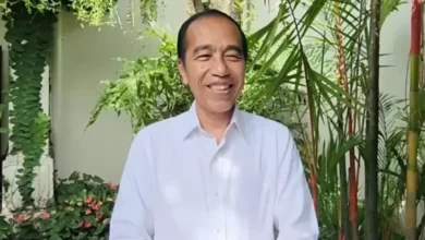 PSI Perorangan Jadi Kendaraan Politik Baru Jokowi? Begini Analisis Pengamat