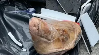 Teror Kepala Babi kemudian juga Bangkai Tikus ke Tempo, Iwakum: Kebebasan Pers Sedang Terancam