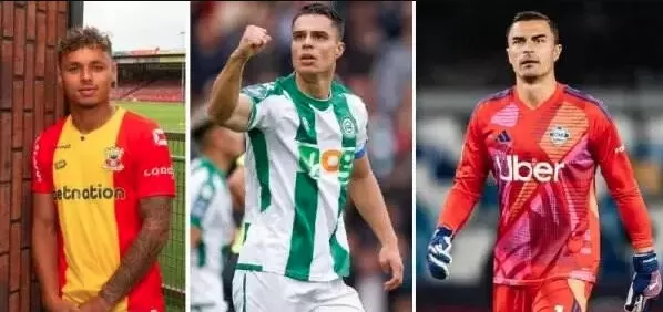 Tok! DPR Setuju Permohonan Naturalisasi Emil Audero, Dean James, kemudian Joey Pelupessy