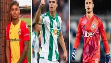 Tok! Paripurna DPR Sahkan Naturalisasi Emil Audero, Joey Mathijs Pelupessy, dan juga Dean Ruben James