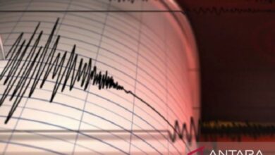 Menkes Turki: Hampir 236 khalayak terluka akibat gempa di Istanbul