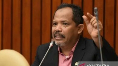 DPR desak pemerintah perbuatan tegas pembeli jagung Sumbawa di bawah HPP