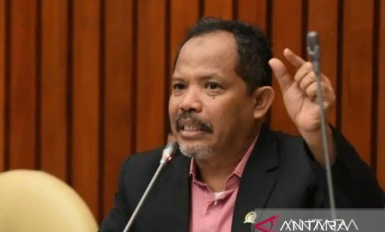 DPR desak pemerintah perbuatan tegas pembeli jagung Sumbawa di bawah HPP
