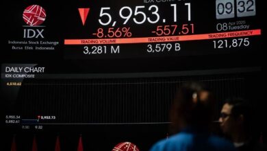 Hal ini adalah alasan kenapa nilai tukar saham fluktiatif & bagaimana tips investasinya