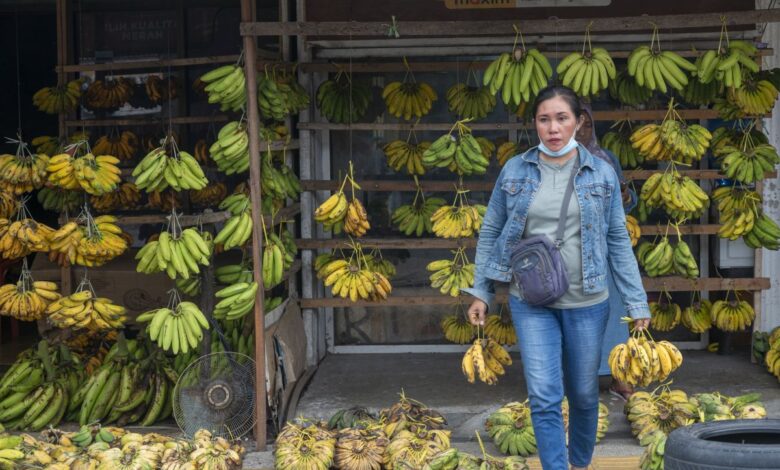 Tips simpan pisang agar tidaklah cepat hitam kemudian lembek