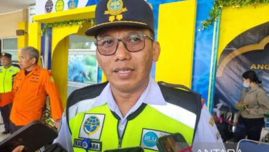 Layanan hasil laut dongkrak pengiriman kargo dari Bandara Manokwari