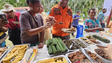 Menyukseskan kegiatan MBG melalui penguatan pangan lokal di Papua
