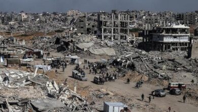 FAO peringatkan Kawasan Daerah Gaza terancam kelaparan dan juga juga sektor pertanian hancur