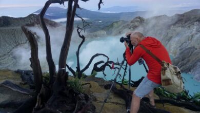 otoritas melakukan reformasi untuk mengembangkan pariwisata